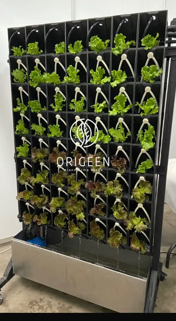 Mampara de Producción
